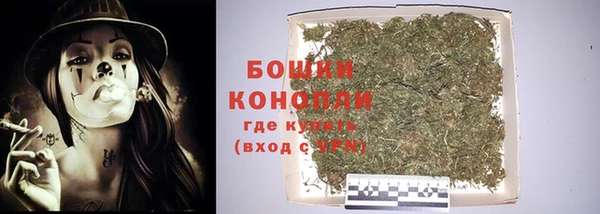 гидра Кулебаки