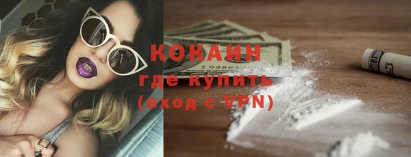 гидра Кулебаки