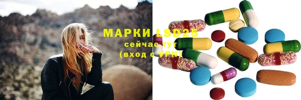 соль ск Кукмор