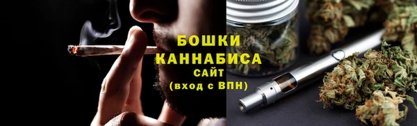 гидра Кулебаки
