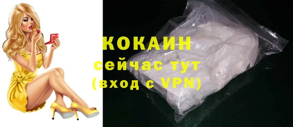 соль ск Кукмор