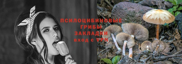 гидра Кулебаки