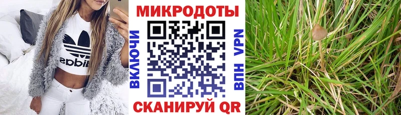 Галлюциногенные грибы Psilocybine cubensis  Купить закладки  Заринск 